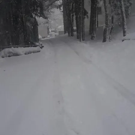 The Family Bienvenidos A