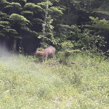 The Family Bienvenidos A アパート *