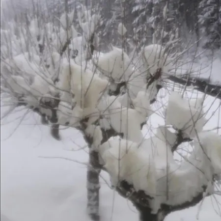 アパート The Family Bienvenidos A *