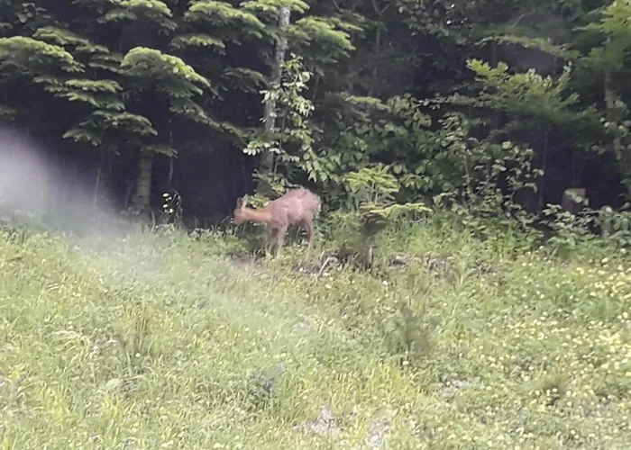 The Family Bienvenidos A Lägenhet *