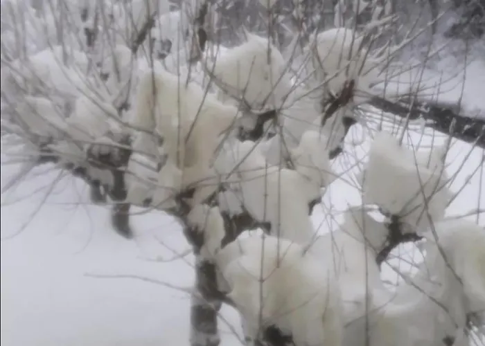 Lägenhet The Family Bienvenidos A *