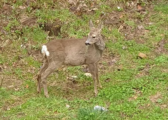 Lägenhet The Family Bienvenidos A *